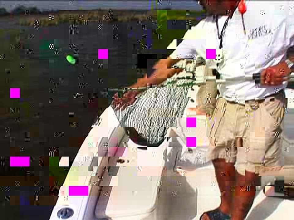 Redfish Double