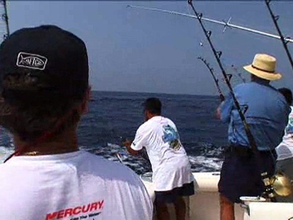 High-Flying Sailfish