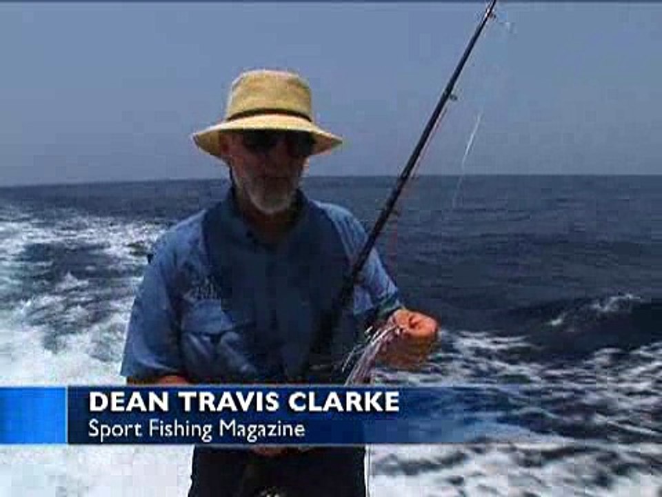 Sailfish on Fly