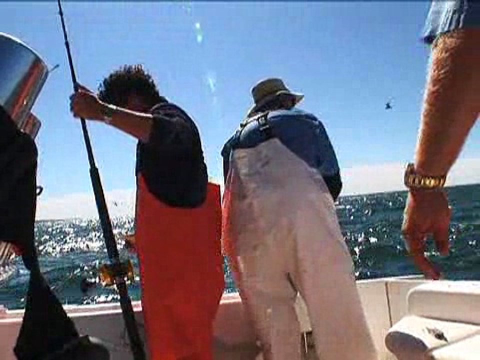 Hot Striper Bite!