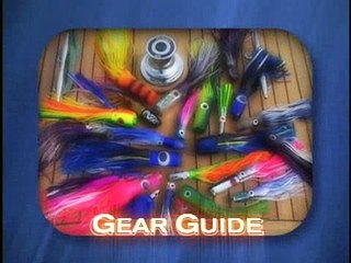 Keeping Position Electronically