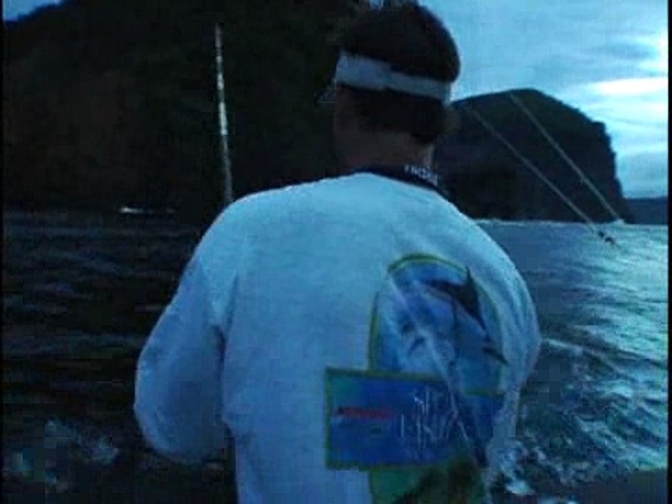Trinidad Tarpon