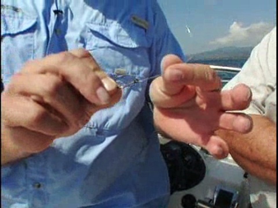 Los Suenos Snapper