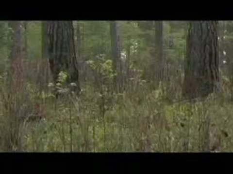 Outdoor Life Turkey Grand Slam