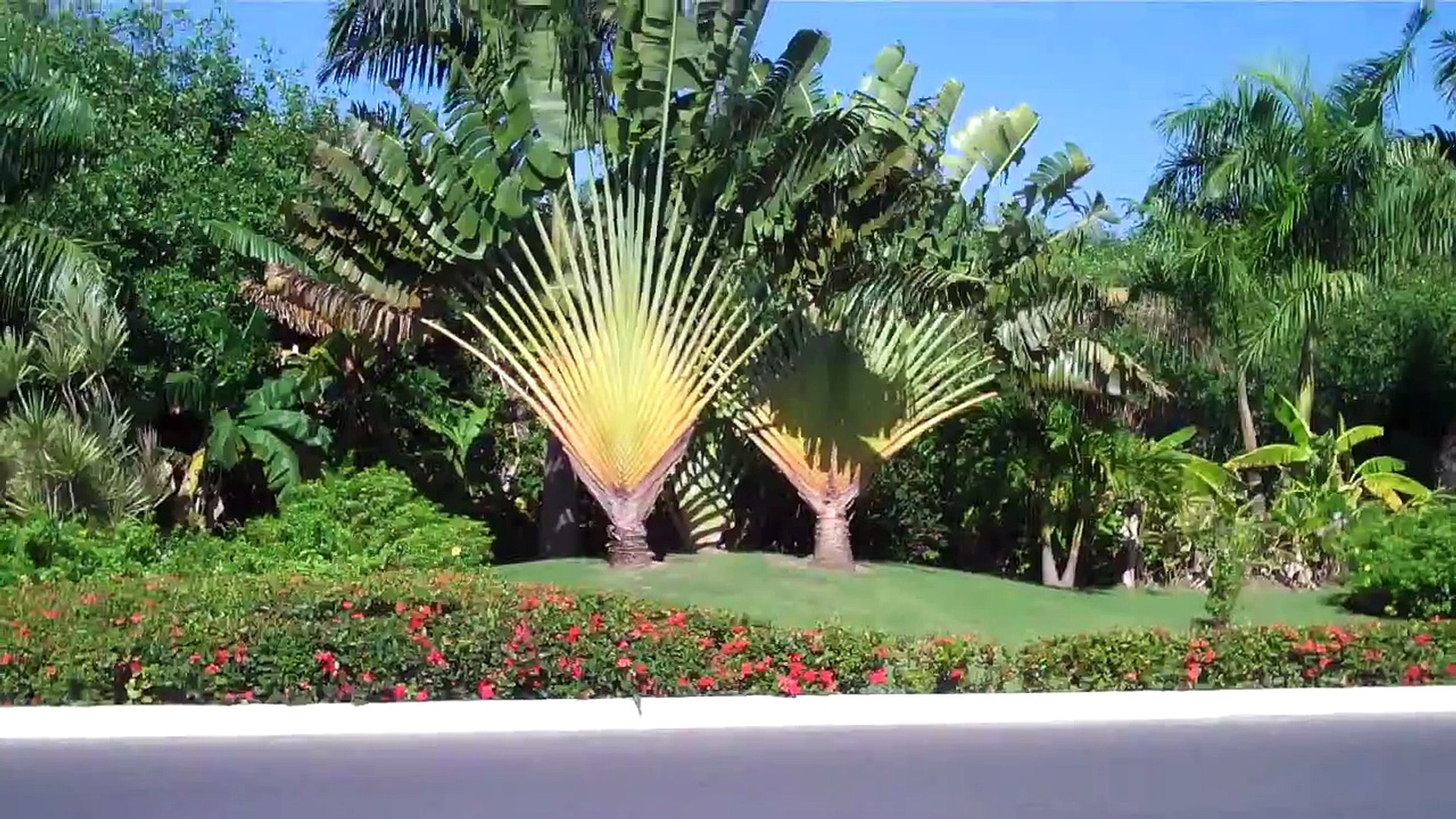Wife's trip to Punta Cana in the Dominican Republic