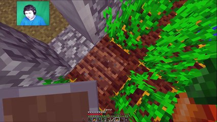 Minecraft | Taylor's Kingdom #9 Tree Farms