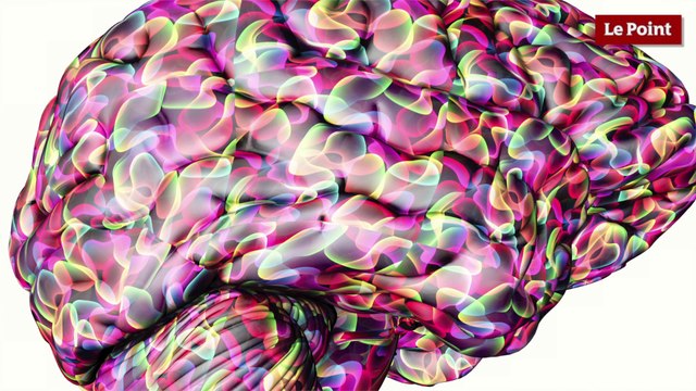 Les bactéries nous veulent du bien #3 : Comment elles nous contrôlent ?