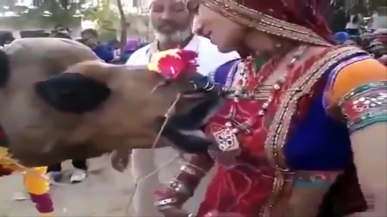 Whatsapp Videos funny Complied latest 2015