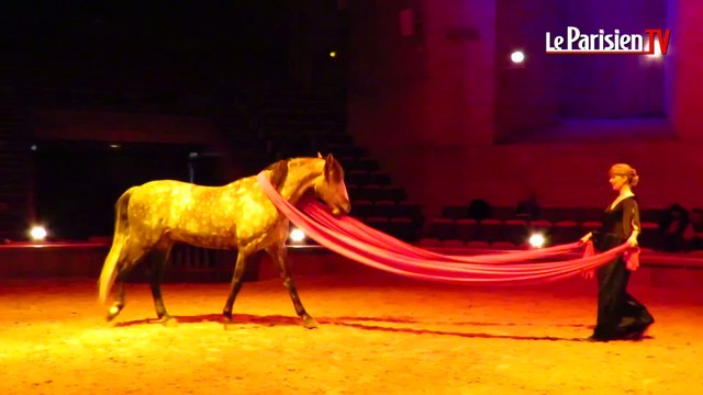 Chantilly : le nouveau spectacle équestre inspiré de la mythologie grecque
