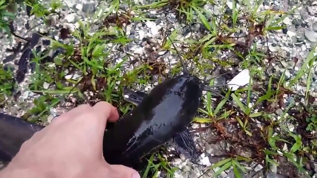 Веселые эти люди Рыбаки! Приколы на рыбалке.