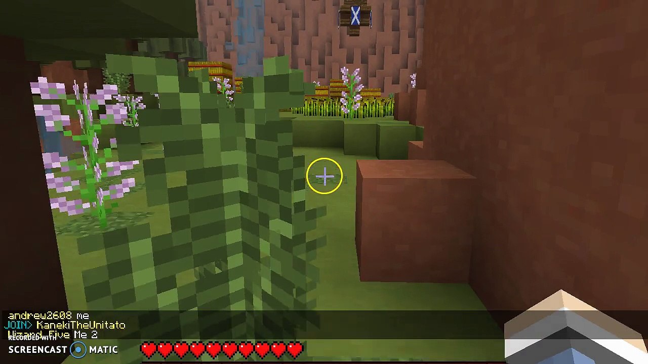 Bug in Color Canyon