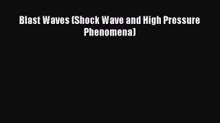 Read Blast Waves (Shock Wave and High Pressure Phenomena) PDF Free