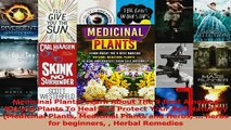 Medicinal Plants Learn About The 9 Best Amazing Natural Plants To Heal And Protect Your