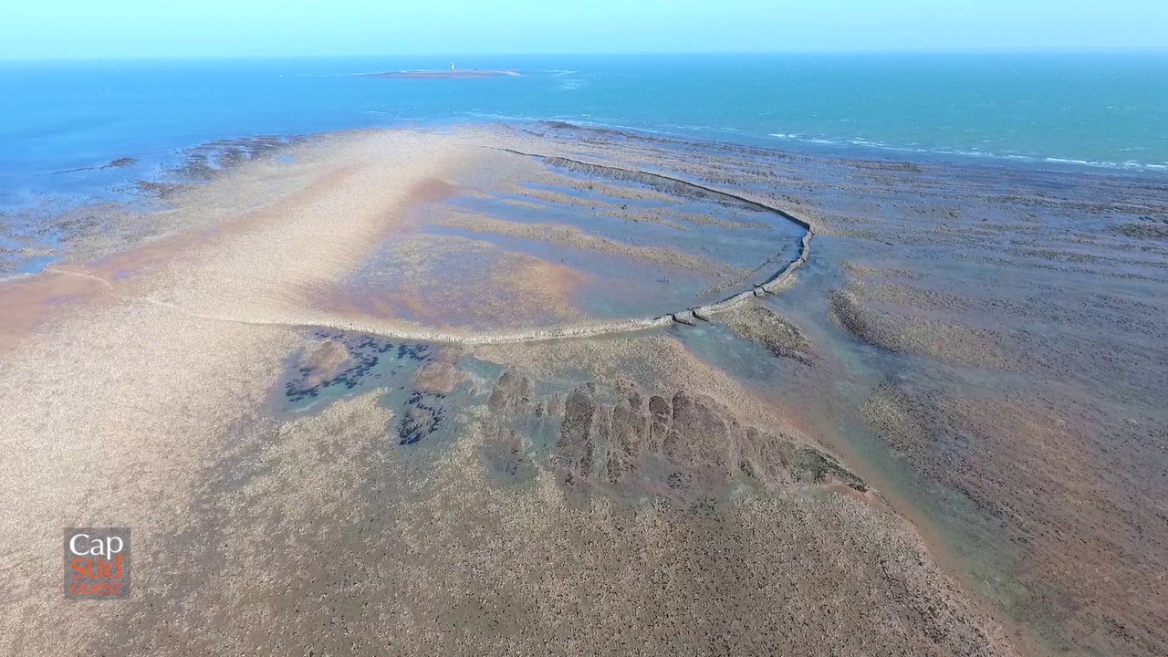 Cap Sud Ouest: les écluses à poissons de l'île d'Oléron