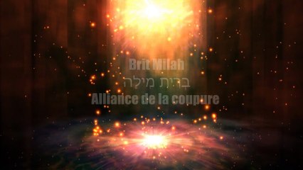 Brit Milah - Le Sceau de la Véritable Circoncision - 8ème Jour