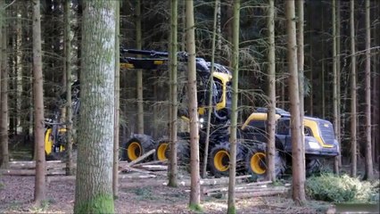 El Escorpión La máquina taladora de arboles mas veloz y eficiente del mundo