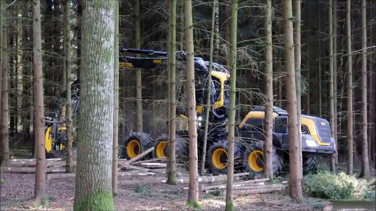 El Escorpión La máquina taladora de arboles mas veloz y eficiente del mundo