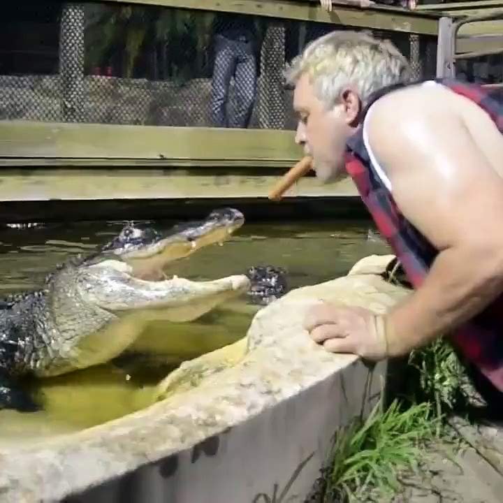 Feeding Crocodile from Mouth-Top Funny Videos-Top Prank Videos-Top Vines Videos-Viral Video-Funny Fails