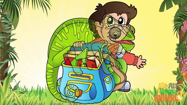 CHAMELEONS- Animals for children. Kids videos. Kindergarten - Preschool learning