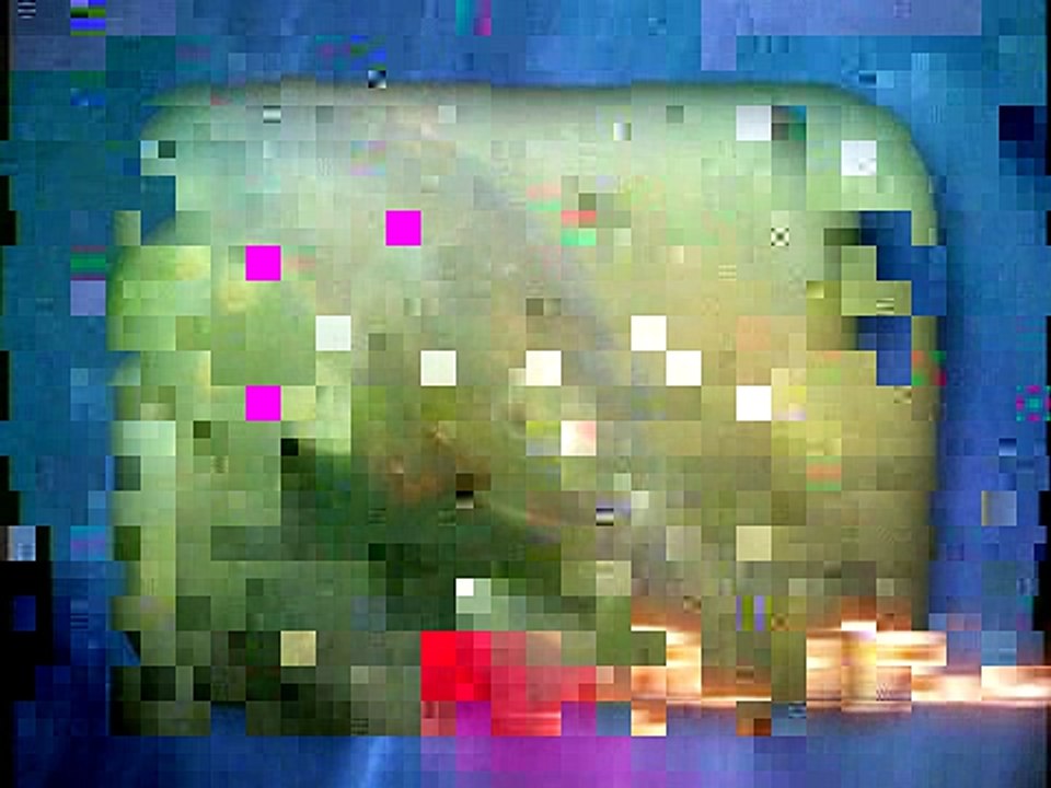 The Pinfish