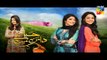 Haya Kay Daman Main Episode 4 Promo HUM TV Drama 01 April 2016