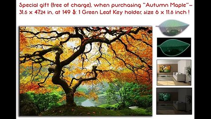 Blue Marina Competition Daisy Abstract Face Ballerina (World Music 720p)