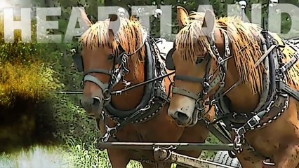 Americas Heartland: Cotton Show