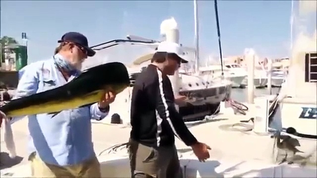 СЕКС В МАШИНЕ # ЧЁТКИЕ ПРИКОЛЫ 6 # TOP FUNNY VIDEOS # Sex in the car