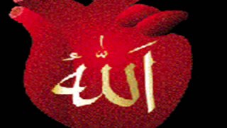 Maulana Tariq Jameel - TEST - Dil Zinda Hai_