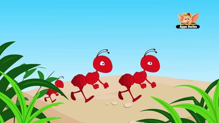 Animal Facts in Hindi - Ants