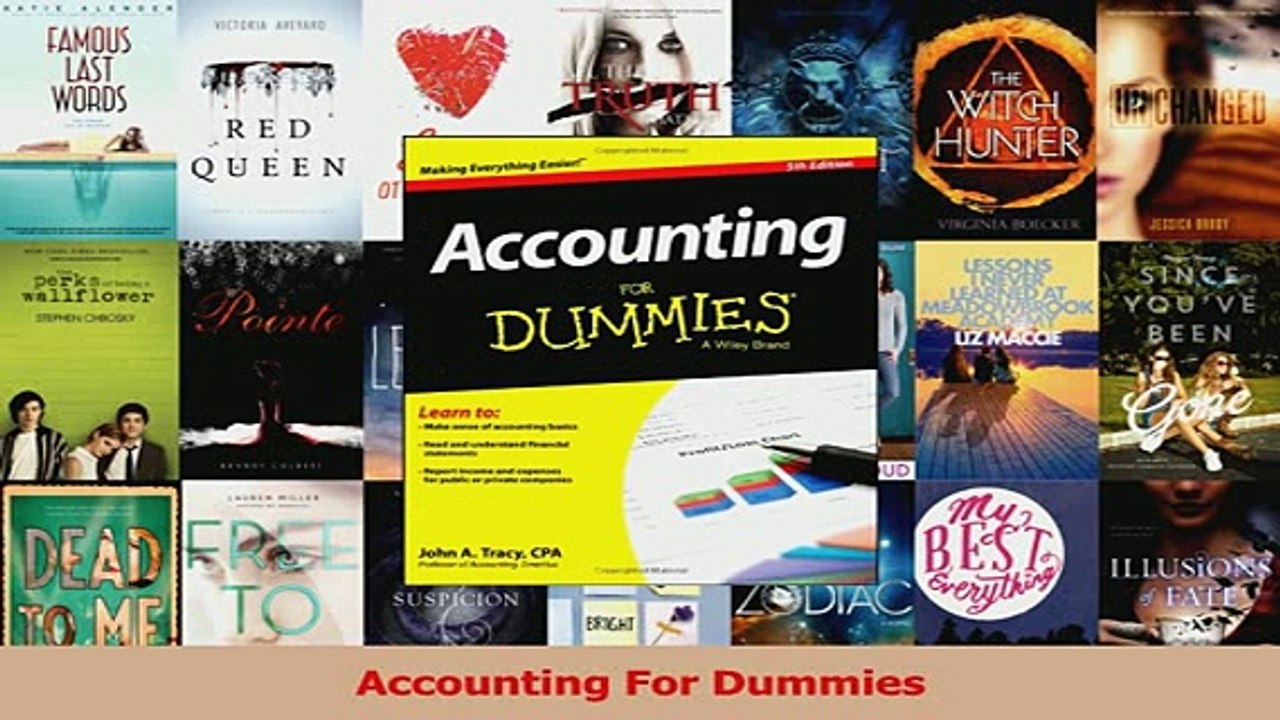 Read  Accounting For Dummies Ebook Free