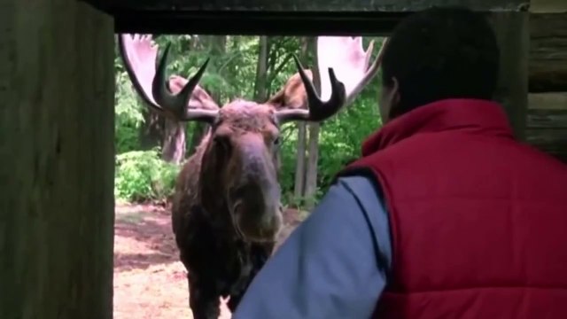 Приколы из фильмов - Лучшие coub #9