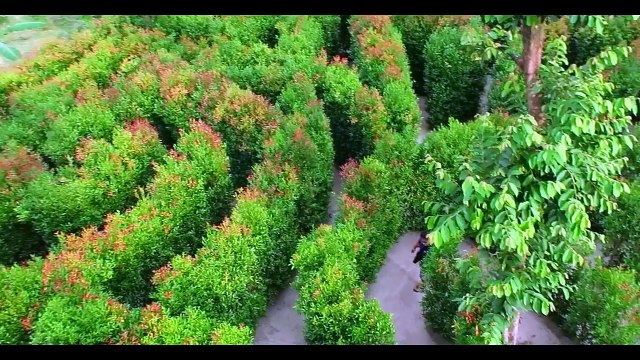 Перевернутый дом на Пхукете, Пхукет Таиланд - Phuket Upside Down House