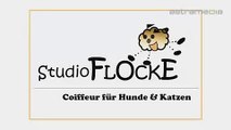 Studio Flocke - Coiffeur für Hunde & Katzen - www.studio-flocke.ch