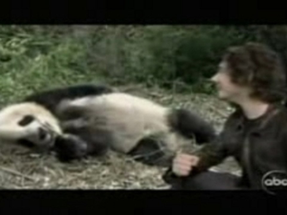 Josh Groban's 'Panda Sex Song'