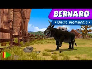 Bernard Bear | "Animal Bernard" | Best Moments