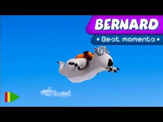 Bernard Bear | "Flying Bernard" | Best Moments