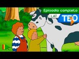 TEO (Latino) - 15 - Teo y sus amigos | Episodio Completo |