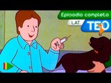 TEO (Latino) - 18 - Las vacunas de Pock