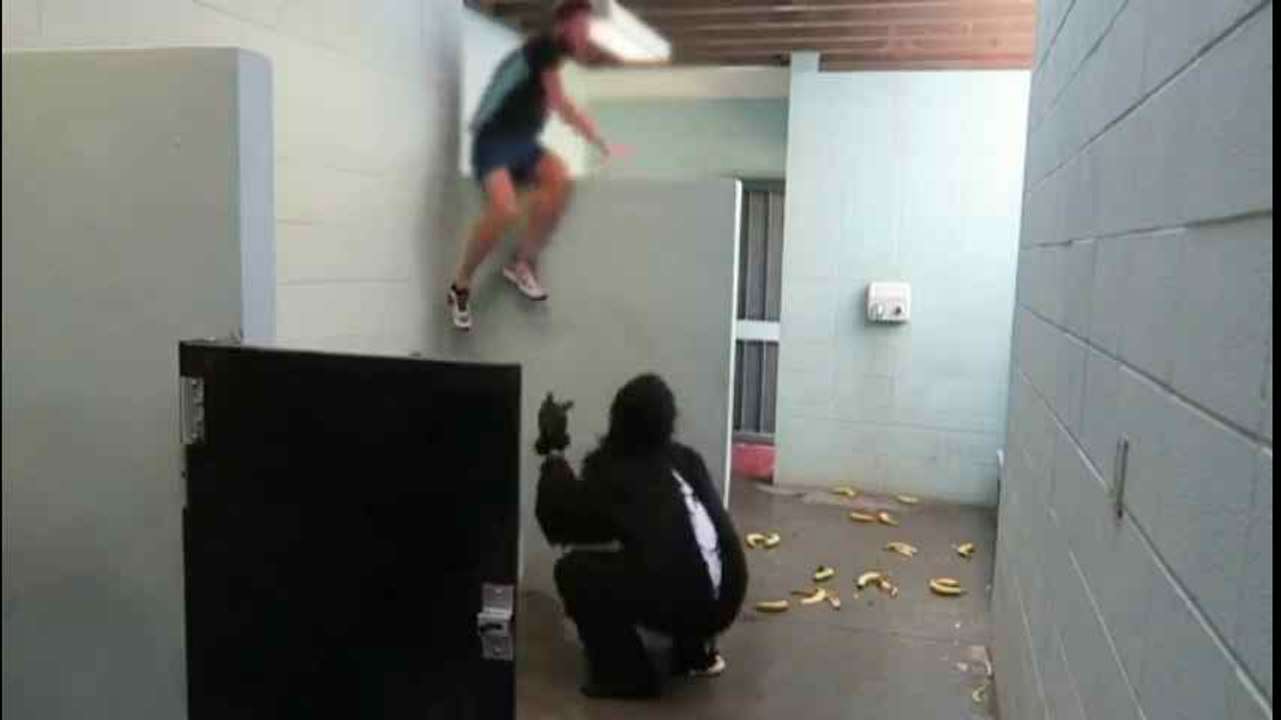 Funniest Gorilla Prank in Bath Room-Top Funny Videos-Top Prank Videos-Top Vines Videos-Viral Video-Funny Fails