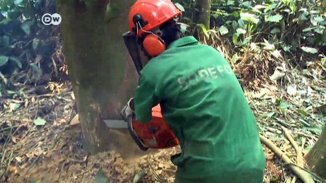 eco@africa makes debut on DW | DW News