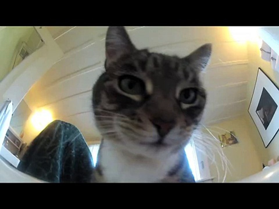 See My Pussy From Inside The Toilet