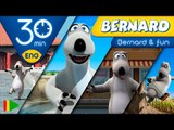Bernard Bear | Bernard Having Fun | 30 minutes