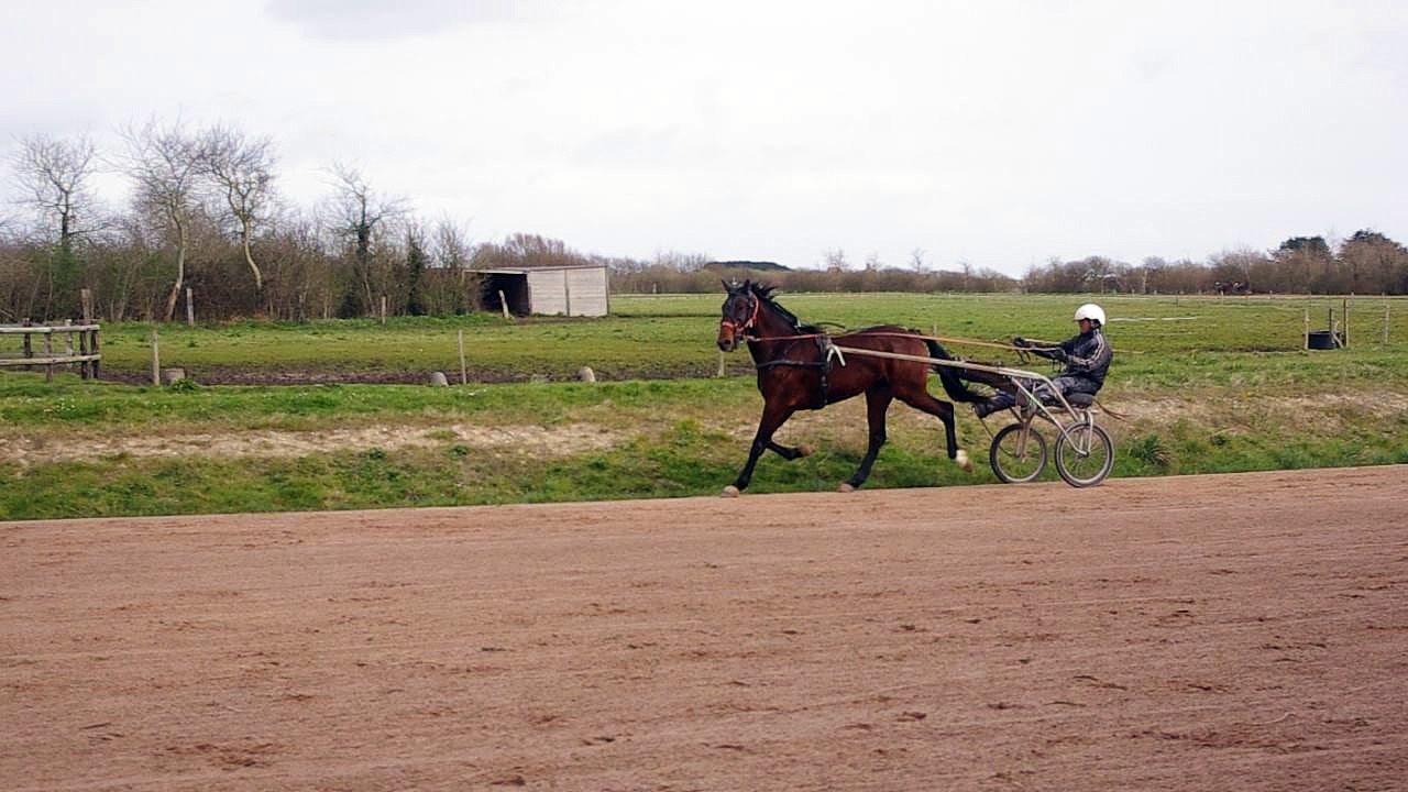 EMERAUDE DE NESLE EN PISTE