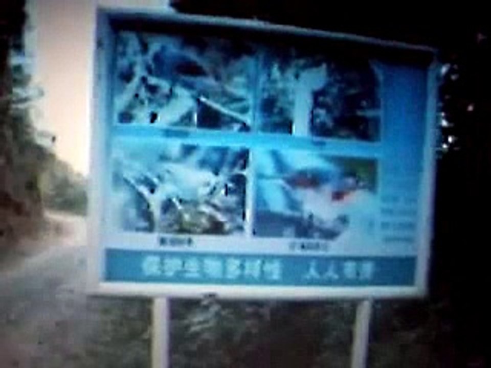 Original video