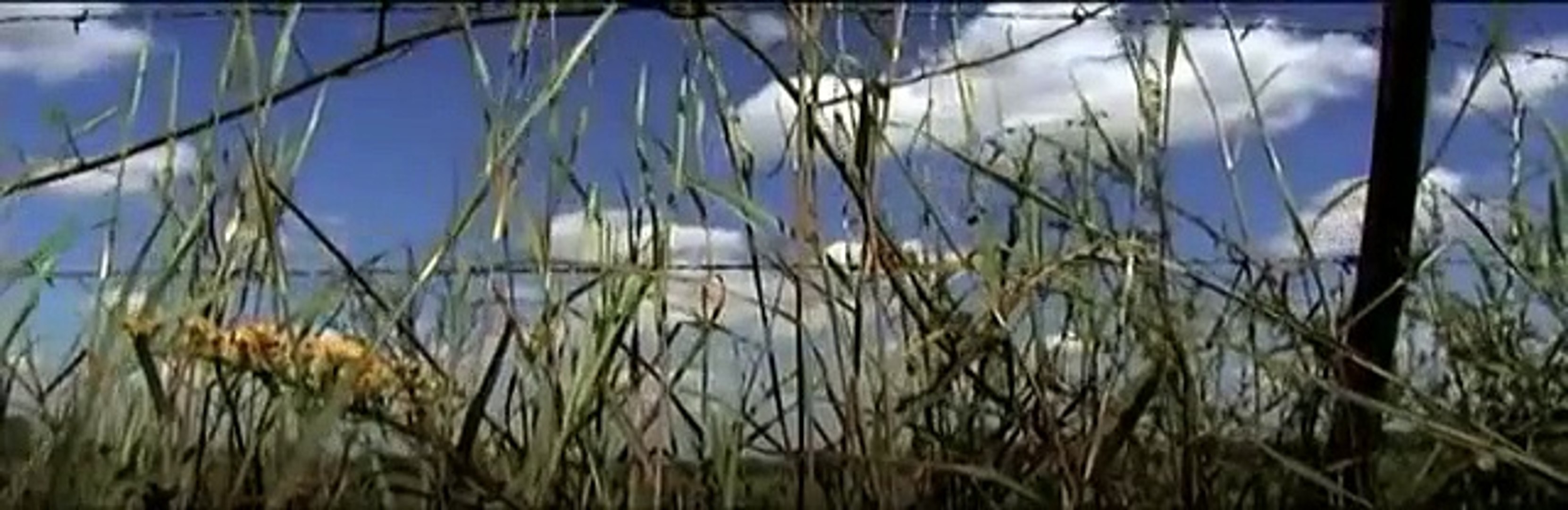 Backroad (2012) - Trailer (Drama, Horror, Thriller)