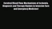 [PDF] Cerebral Blood Flow: Mechanisms of Ischemia Diagnosis and Therapy (Update in Intensive