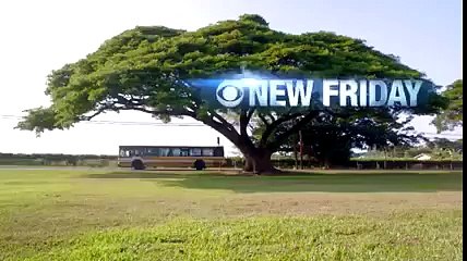 Hawaii Five-0 - 6x18 - Promo