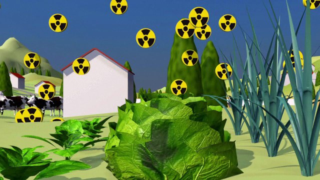 La contaminación radioactiva