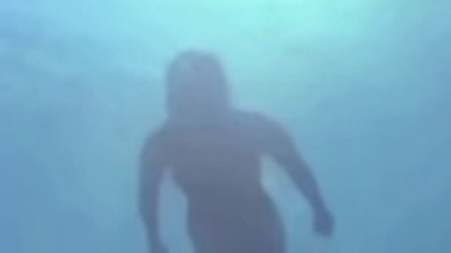 اقوى 5 مقاطع لظهور حورية البحر حقيقة حيرت العالم